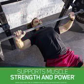 3 - ON (Optimum Nutrition) Micronized Creatine Powder,  Unflavoured  0.55 lb 