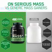 4 - ON (Optimum Nutrition) Serious Mass,  2.2 lb  Chocolate 