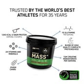 2 - ON (Optimum Nutrition) Serious Mass,  11 lb  Vanilla 