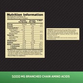 5 - ON (Optimum Nutrition) Instantized BCAA 5000,  0.55 lb  30 Servings  Green Apple 