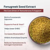 10 - Miduty TestoUP 5X,  60 capsules 