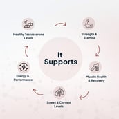 8 - Miduty TestoUP 5X,  60 capsules 