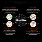 4 - Fuel One Alpha Max Protein,  2.2 lb  Cold Coffee