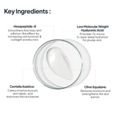 5 - Miduty EpiHydrate Day Cream,  50 g  for Deeply Hydrating & Skin Soothing 