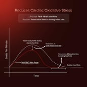 13 - GNC Pro Performance 100% Whey + Nitro Surge, 4 lb Creamy Strawberry