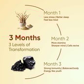 3 - CUREFOREVER Shilajit & Ashwagandha,  60 tablet(s) 