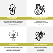 5 - Voll Sante Pumpkin Seed Oil 1000mg,  30 veggie capsule(s) 