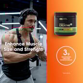 3 - ON (Optimum Nutrition) Micronized Creatine Powder, Citrus Orange 0.55 lb