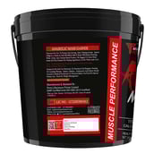 5 - Muscle Performance Anabolic Mass Gainer,  11 lb  Rabri Kulfi with Steel Shaker 