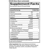 1 - Rule One Essential Amino9,  0.76 lb  30 Servings  Blue Razz Lemonade 