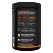 4 - Rule One Essential Amino9,  0.76 lb  30 Servings  Cherry Limeade 