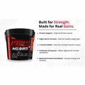 8 - Muscle Performance Anabolic Mass Gainer,  11 lb  Belgium Chocolate 