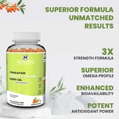 5 - Naturyz Himalayan Sea Buckthorn Berry Oil, 60 capsules