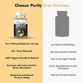 5 - Dr. Morepen Shilajit,  60 capsules 