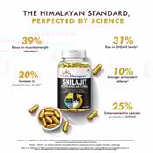 4 - Dr. Morepen Shilajit,  60 capsules 
