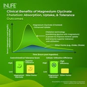 8 - INLIFE Magnesium Glycinate with Zinc Picolinate 2000mg, Unflavoured 120 tablet(s)
