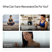 7 - Decode Age Trans-Resveratrol 250,  60 veggie capsule(s) 