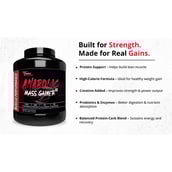 9 - Muscle Performance Anabolic Mass Gainer with Creatine Monohydrate 0.66 lbs & Steel Shaker Combo,  5.5 lb  Creamy Vanilla 