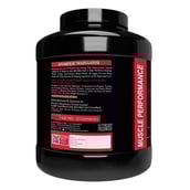 2 - Muscle Performance Anabolic Mass Gainer with Creatine Monohydrate 0.66 lbs & Steel Shaker Combo,  5.5 lb  Belgium Chocolate 