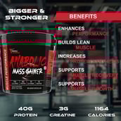 6 - Muscle Performance Anabolic Mass Gainer with Creatine Monohydrate 0.66 lbs & Steel Shaker Combo,  11 lb  Belgium Chocolate 