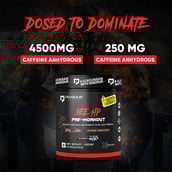 3 - Denzour Nutrition Bee Hp Pre-Workout, 0.66 lb Blueberry