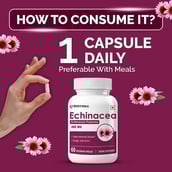 6 - Biotrex Echinacea 400mg, 60 veggie capsule(s)