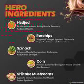 5 - Nutrela Sports Patanjali 100% Whey Performance, 2.2 lb Chocolate Irish