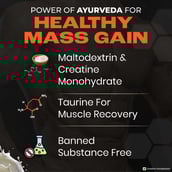 4 - Nutrela Sports Patanjali Mass Gainer, 2.2 lb Malai Kulfi