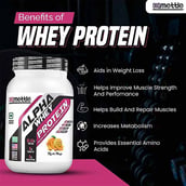 6 - Getmymettle Alpha Whey Protein,  4.4 lb  Belgium Chocolate 