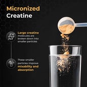 6 - Nutrabay Gold Micronised Creatine Monohydrate,  Orange  0.26 lb 