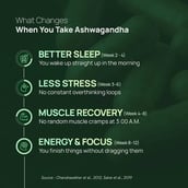 6 - Rasayanam Ashwagandha KSM-66,  60 capsules 