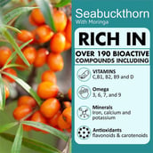 3 - NutraMarck Seabuckthorn with Moringa, 60 capsules