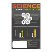 3 - MuscleBlaze Biozyme Performance Whey PR OP, 8.8 lb Chocolate Fudge