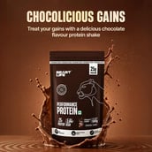 6 - BeastLife Performance Protein, 1.1 lb Chocolate