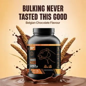 5 - BeastLife Anabolic Mass Gainer, 5.5 lb Belgian Chocolate