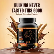 4 - BeastLife Anabolic Mass Gainer, 2.2 lb Belgian Chocolate