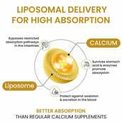 3 - Vlado's Himalayan Organics Liposomal Calcium 2100mg with Vitamin D3 + K2 (MK-7) & Vitamin B12, 60 tablet(s) Unflavoured