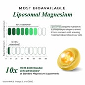 8 - Vlado's Himalayan Organics Liposomal Magnesium Complex 28000mg, Natural 60 tablets