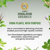 9 - Vlado's Himalayan Organics Liposomal Biotin+ with Multivitamin, 120 tablet(s) Unflavoured