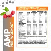 4 - Anabolic DNA AMP Core Power Pre-Workout,  0.716 lb  Thai Litchi 