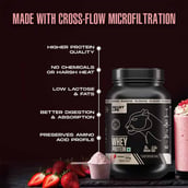 3 - BeastLife Pro Concentrate Whey Protein,  2.03 lb  Strawberry 