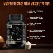 5 - BeastLife Pro Concentrate Whey Protein,  2.03 lb  Butterscotch 
