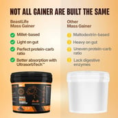 2 - BeastLife Anabolic Mass Gainer,  11 lb  Belgian Chocolate, Neon Shaker & Gym Bag 