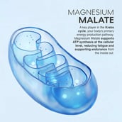 11 - MuscleBlaze Prime Series Magnesium Matrix, Unflavoured 90 tablets