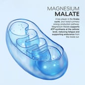 11 - MuscleBlaze Prime Series Magnesium Matrix, Unflavoured 60 tablets