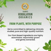6 - Vlado's Himalayan Organics Vegan Omega 3 with DHA 1120mg,  60 veggie capsule(s) 