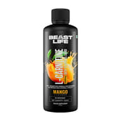 1 - BeastLife L-Carnitine with Vitamin B5 Liquid 3300mg, 450 ml Mango