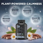 7 - BeastLife Melatonin+, 30 capsules Unflavoured