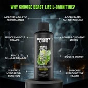 6 - BeastLife L-Carnitine with Vitamin B5 Liquid 1100mg, 450 ml Mojito