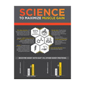 6 - MuscleBlaze Biozyme Whey PR, 4.4 lb Molten Chocolate Cake